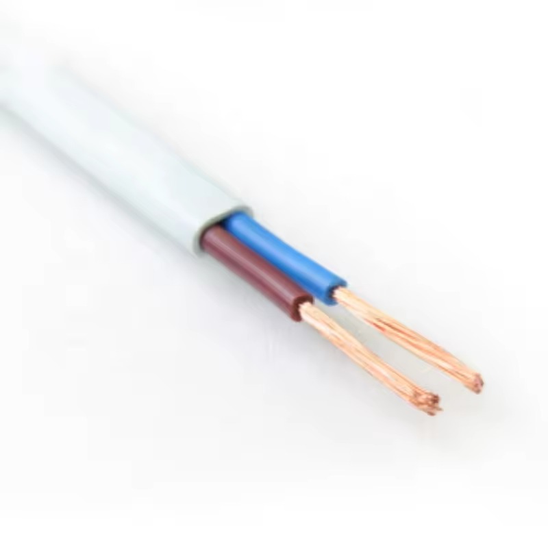 2 Cores RVVB H03VVH2-F Flat PVC Flexible Copper Electrical Cable Wire - Image 3